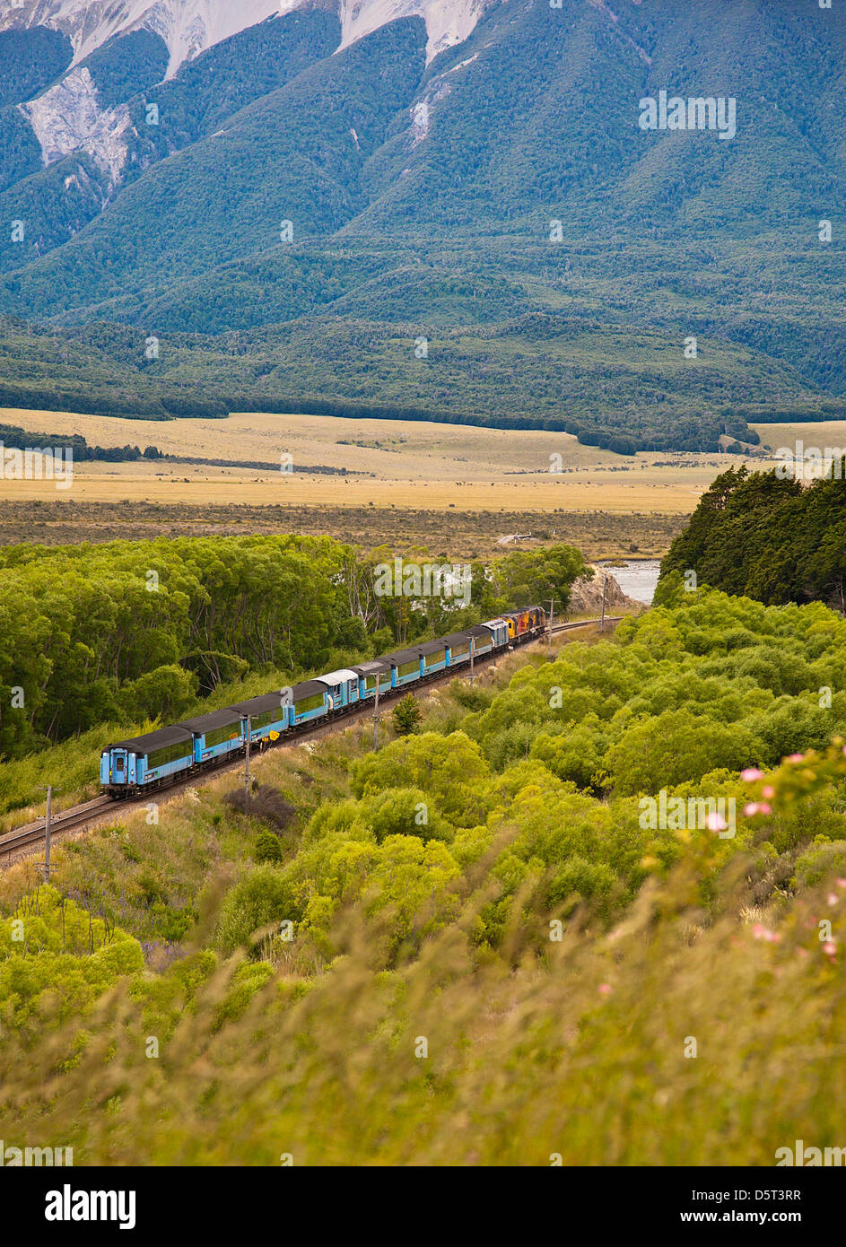 Alpine Trans Train Tranz alpine railway hi-res stock photography and images - Alamy