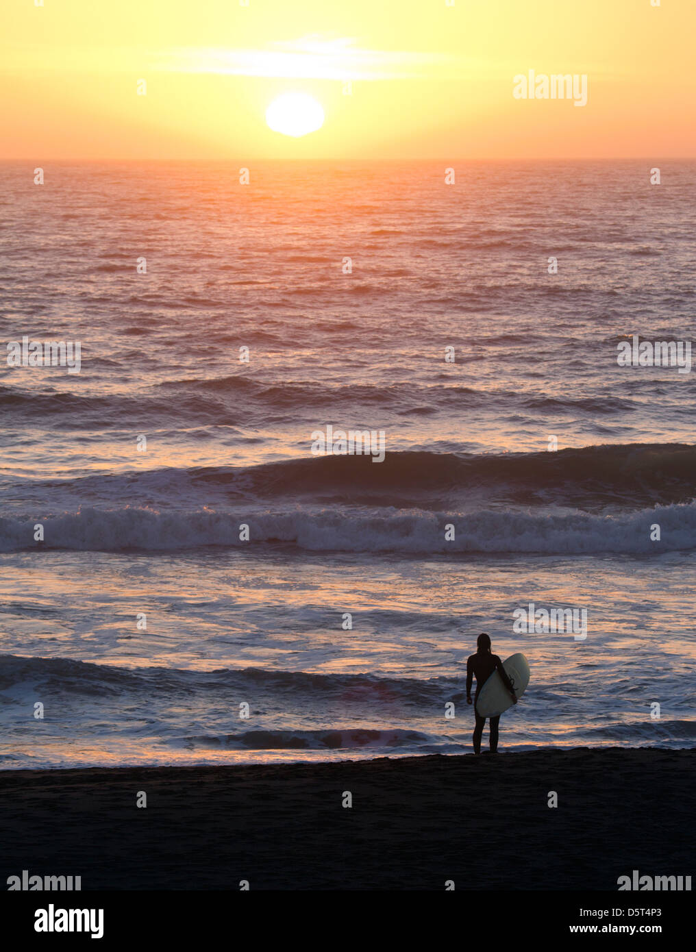 Surfer holding surfboard hi-res stock photography and images - Alamy
