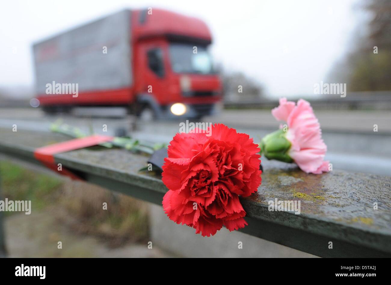 Dianthuses are pictured at the site of an accident on A5 highway in Offenburg, Germany, 19 November 2012. Six people died here on 18 November 2012 after an accident with a wrong-way driver. Photo: Patrick Seeger Stock Photo