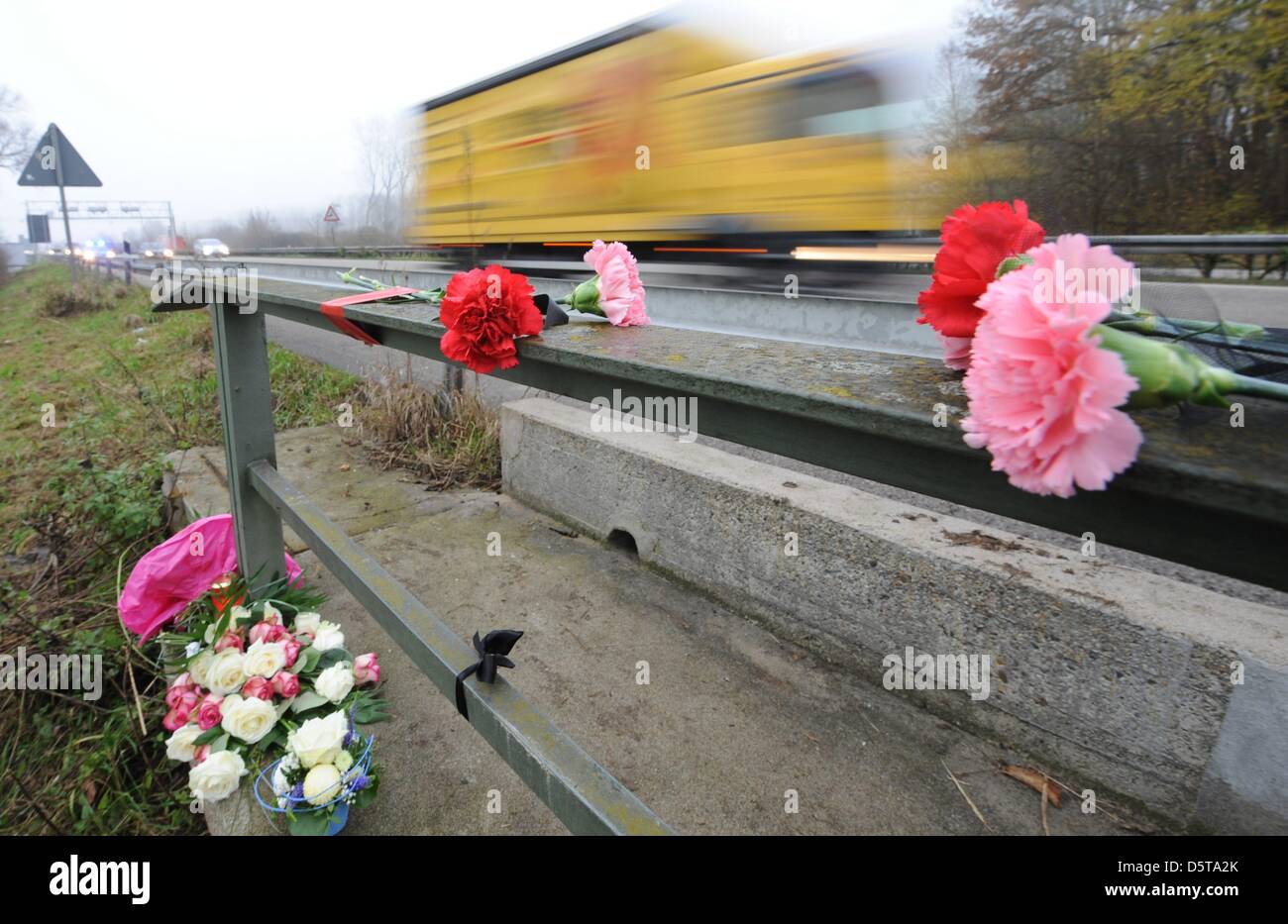 Dianthuses are pictured at the site of an accident on A5 highway in Offenburg, Germany, 19 November 2012. Six people died here on 18 November 2012 after an accident with a wrong-way driver. Photo: Patrick Seeger Stock Photo