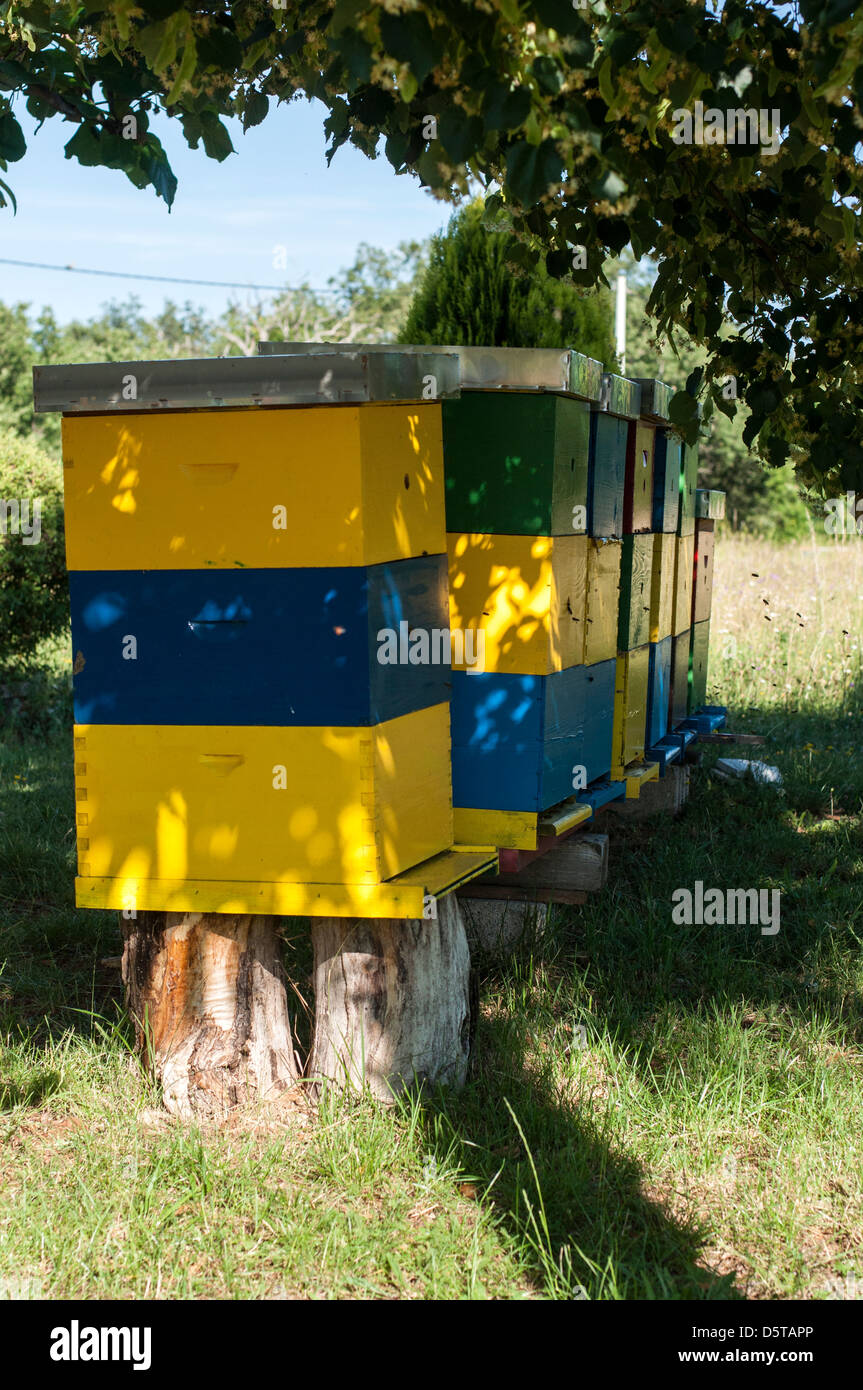 colourful beehives Stock Photo