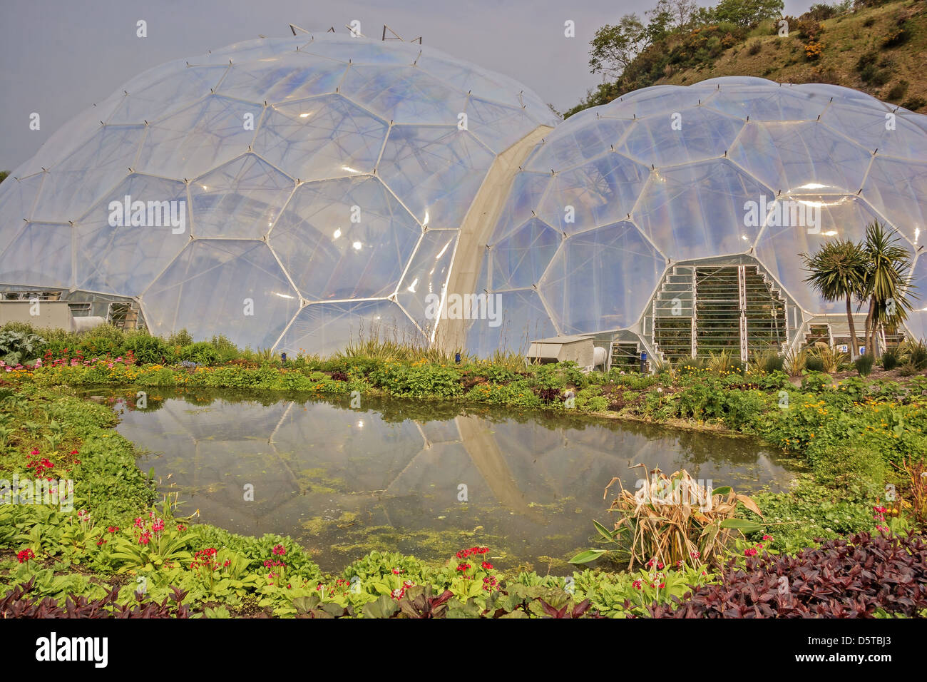 Geodesic Domes Eden Project Cornwall UK Stock Photo