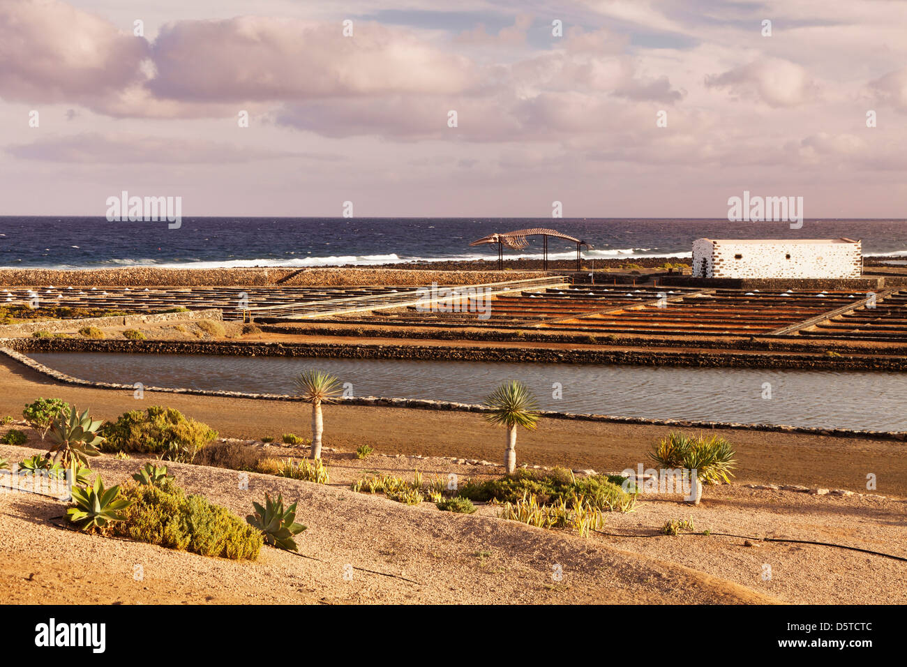 Las Salinas, Museo del Sal, Fuerteventura, Canary Islands, Spain Stock Photo