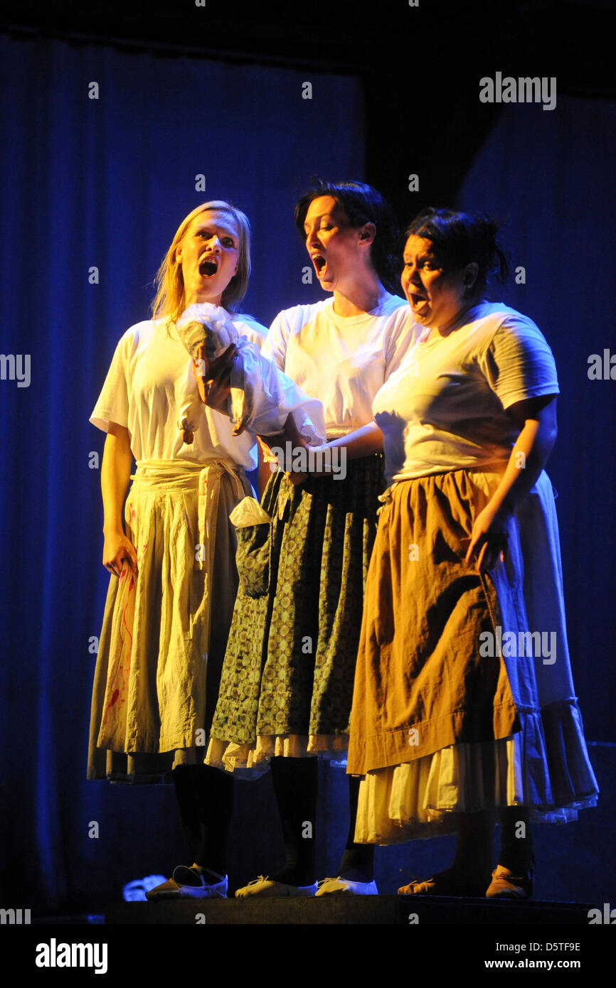 The Rhine daughters Silvia Schindler (L-R), Uta Christina Georg and Bernadett Fodor  perform a scene from Wagner's 'Rhinegold' on the stage of the Teatro Colon during a rehearsal of 'The Compact Ring' by Richard Wagner in Buenos Aires, Argentina, 13 November 2012. The compact version of Wagner's 'Ring' directed by Valentina Carrasco will celebrate its world premiere on 27 November  Stock Photo