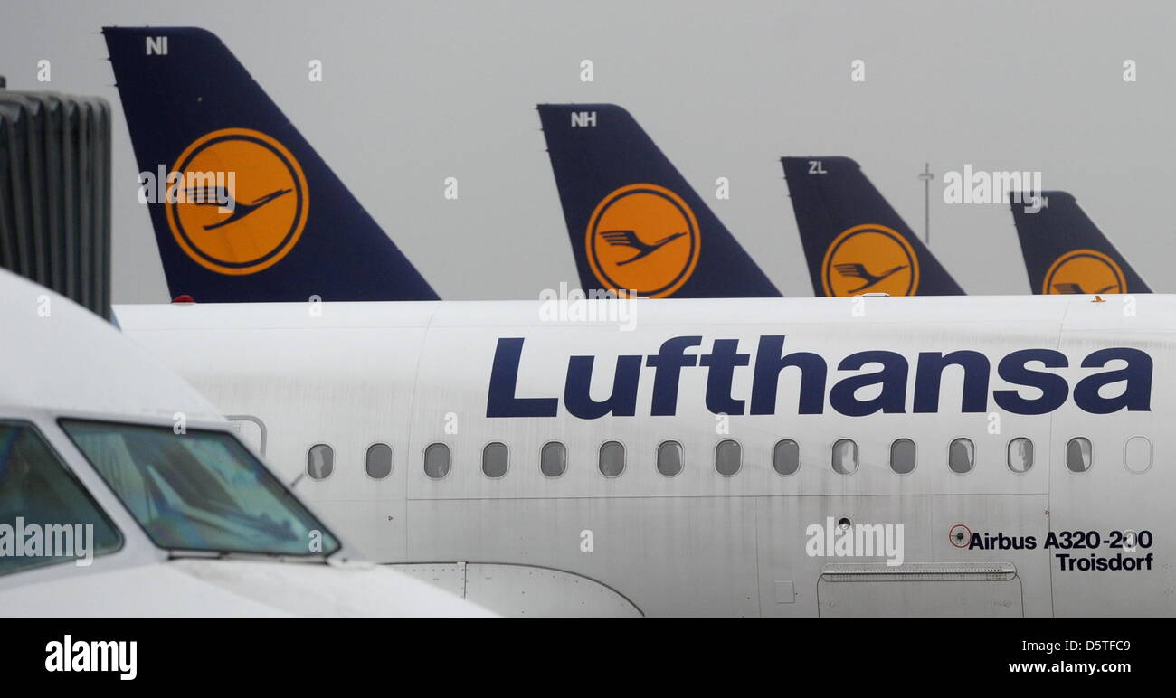 Das Lufthansa-Logo ist am 21.11.2012 in München (Bayern) am Flughafen auf verschiedenen Flugzeugen zu sehen. Foto: Tobias Hase/dpa Stock Photo