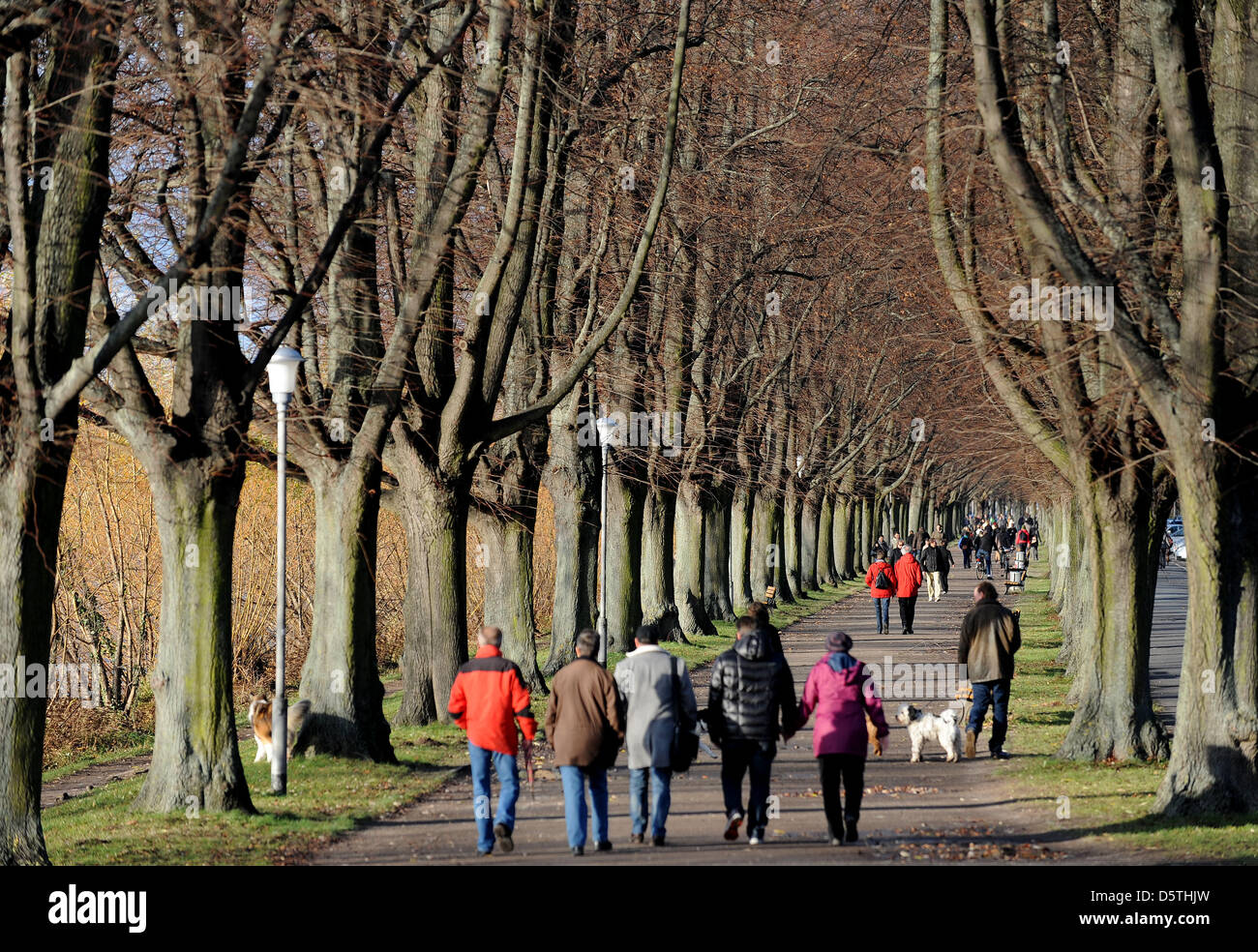 Numerous people enjoy the sun during a walk through a tree-lined alley at Lake Masch (Maschsee) in Hanover, Germany, 25 November 2012. Photo: Peter Steffen Stock Photo