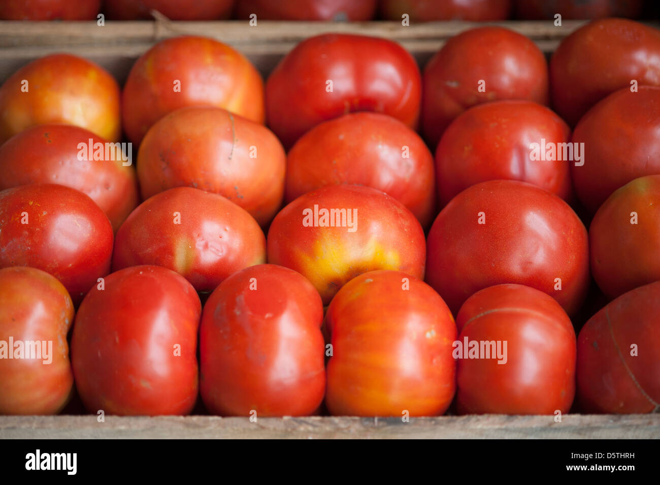 Tomatoes at Lo Valledor central wholesale produce market in Santiago, Chile Stock Photo