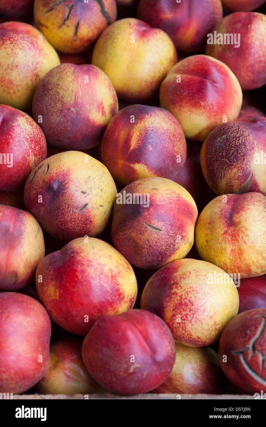 Nectarines at Lo Valledor central wholesale produce market in Santiago, Chile Stock Photo