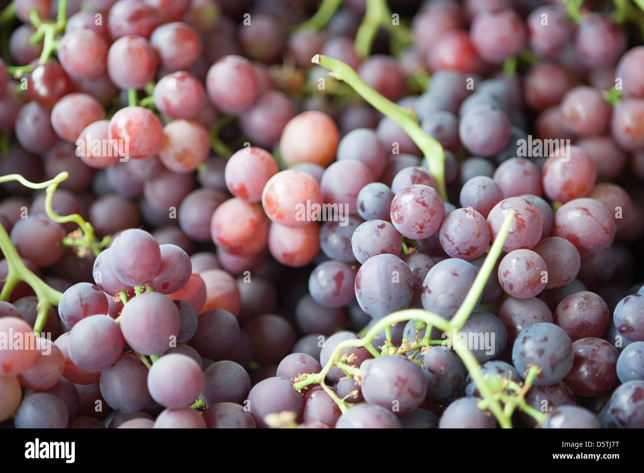 Grapes at Lo Valledor central wholesale produce market in Santiago, Chile Stock Photo