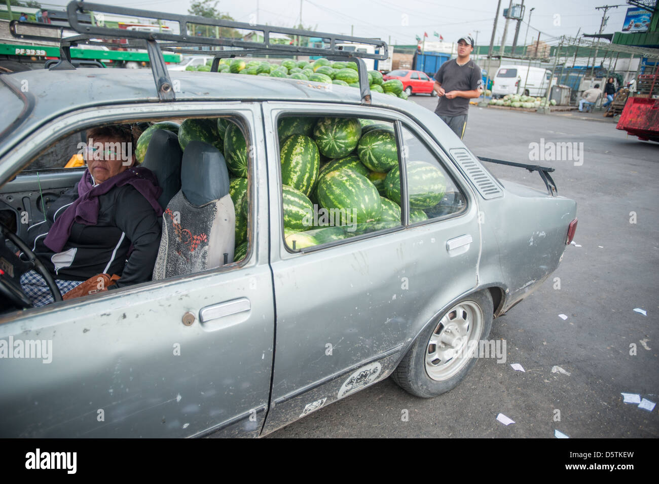 Worker moving watermelons in backseat of a car at Lo Valledor central wholesale produce market in Santiago, Chile Stock Photo