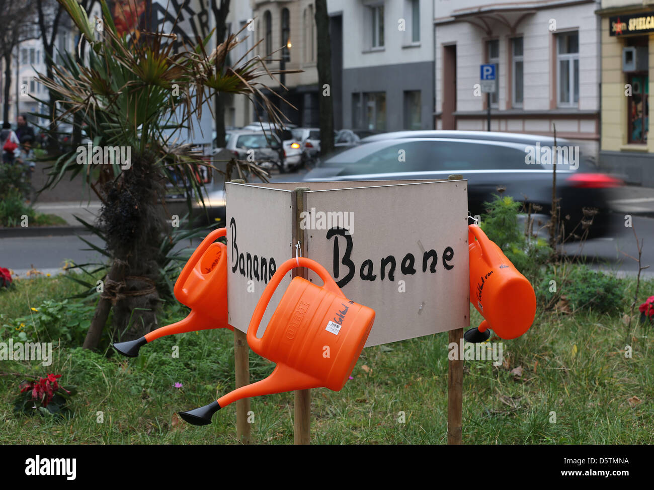 Watering cans hang on a sign behind banana trees on a traffic island