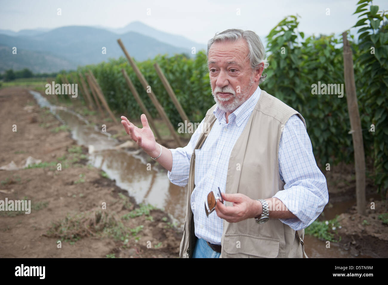 Businessman providing tour on a fruit farm in Chile, South America Stock Photo