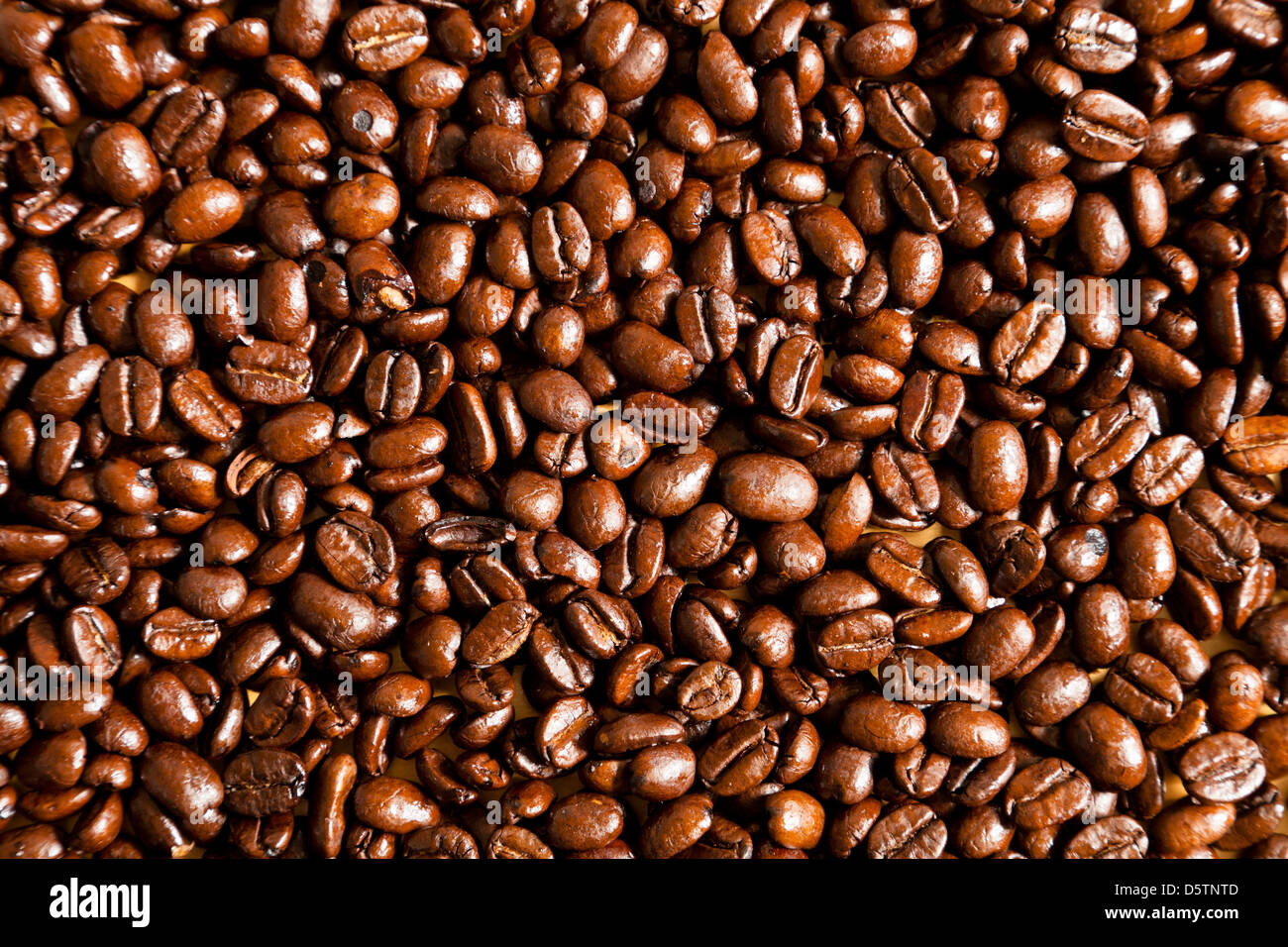 Coffee beans from above Stock Photo