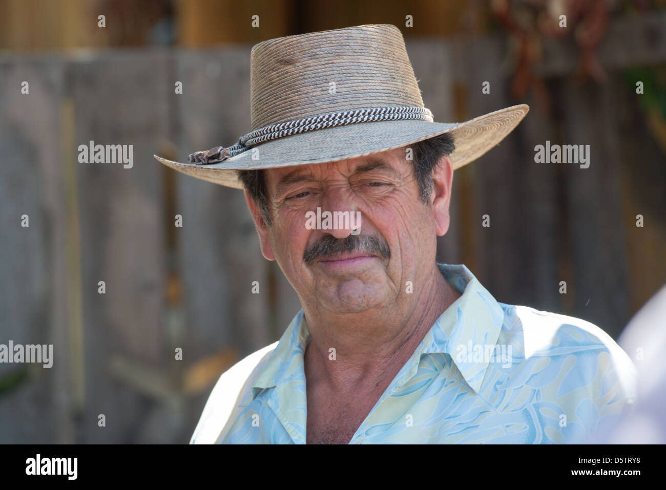 Chilean farmer in Rancagua, Chile on his tomato farm Stock Photo