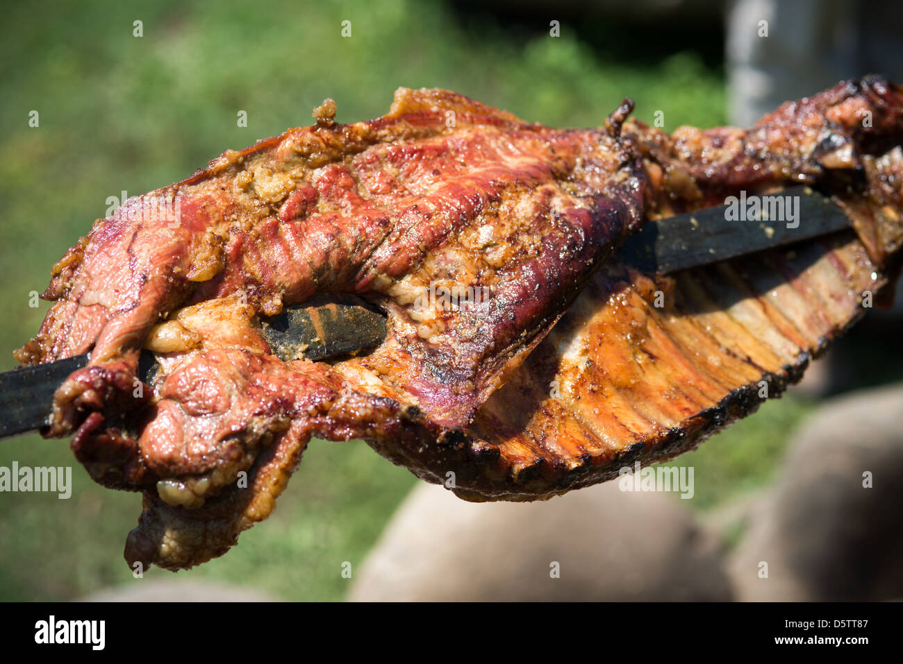 Roasting pig on a spit on a farm in Rancagua, Chile  Stock Photo