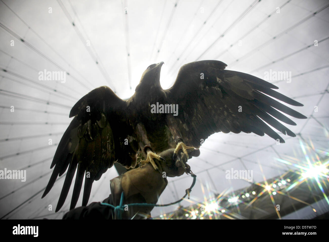 Frankfurt's mascot, the eagle Attila, is pictured before the Bundesliga ...