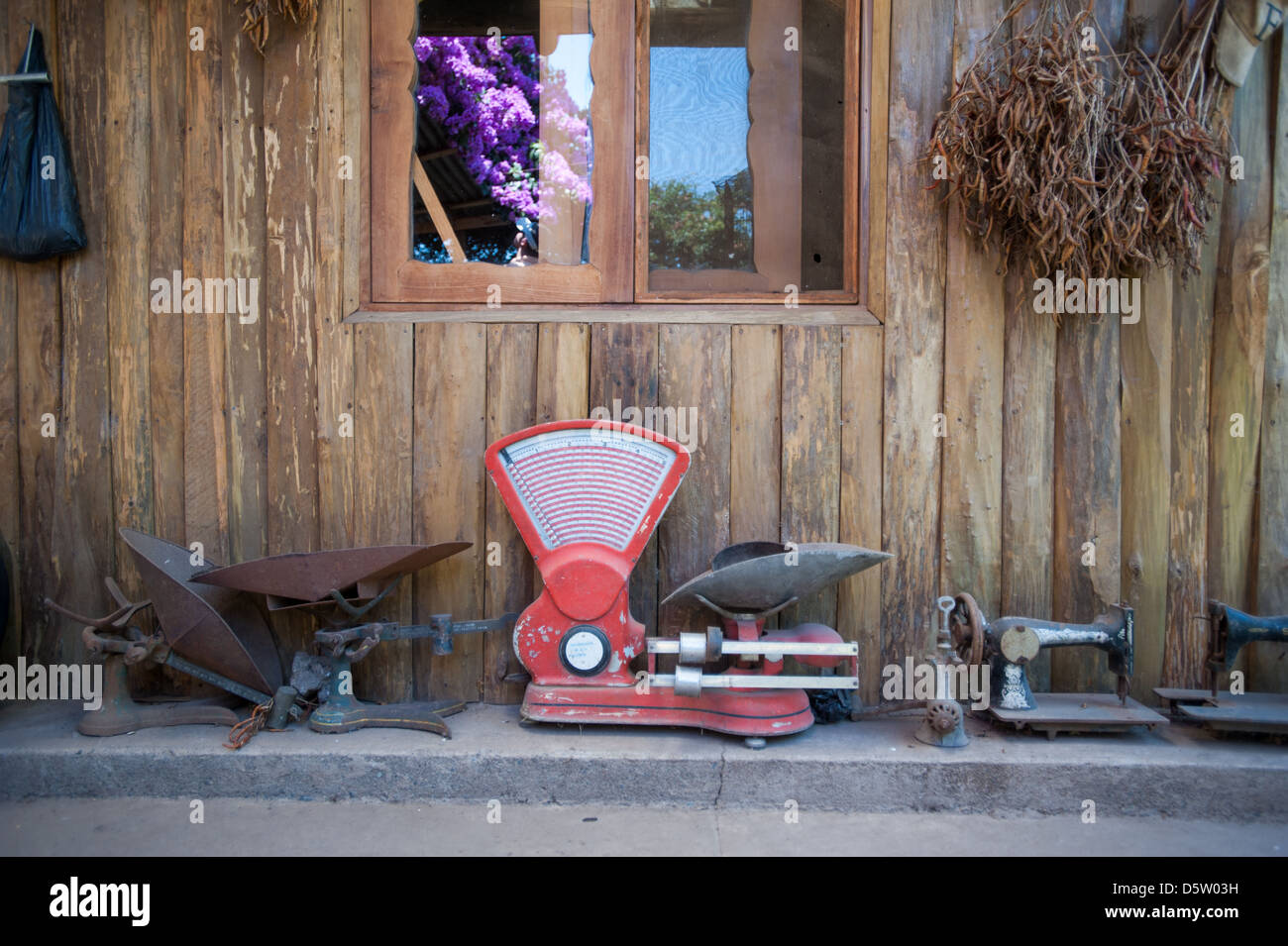 Scale for weighing produce on a fruit farm in Rancagua, Chile Stock Photo