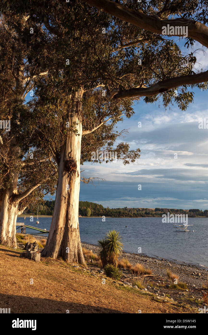 Seaplane moored at Lake Te Anau Stock Photo Alamy