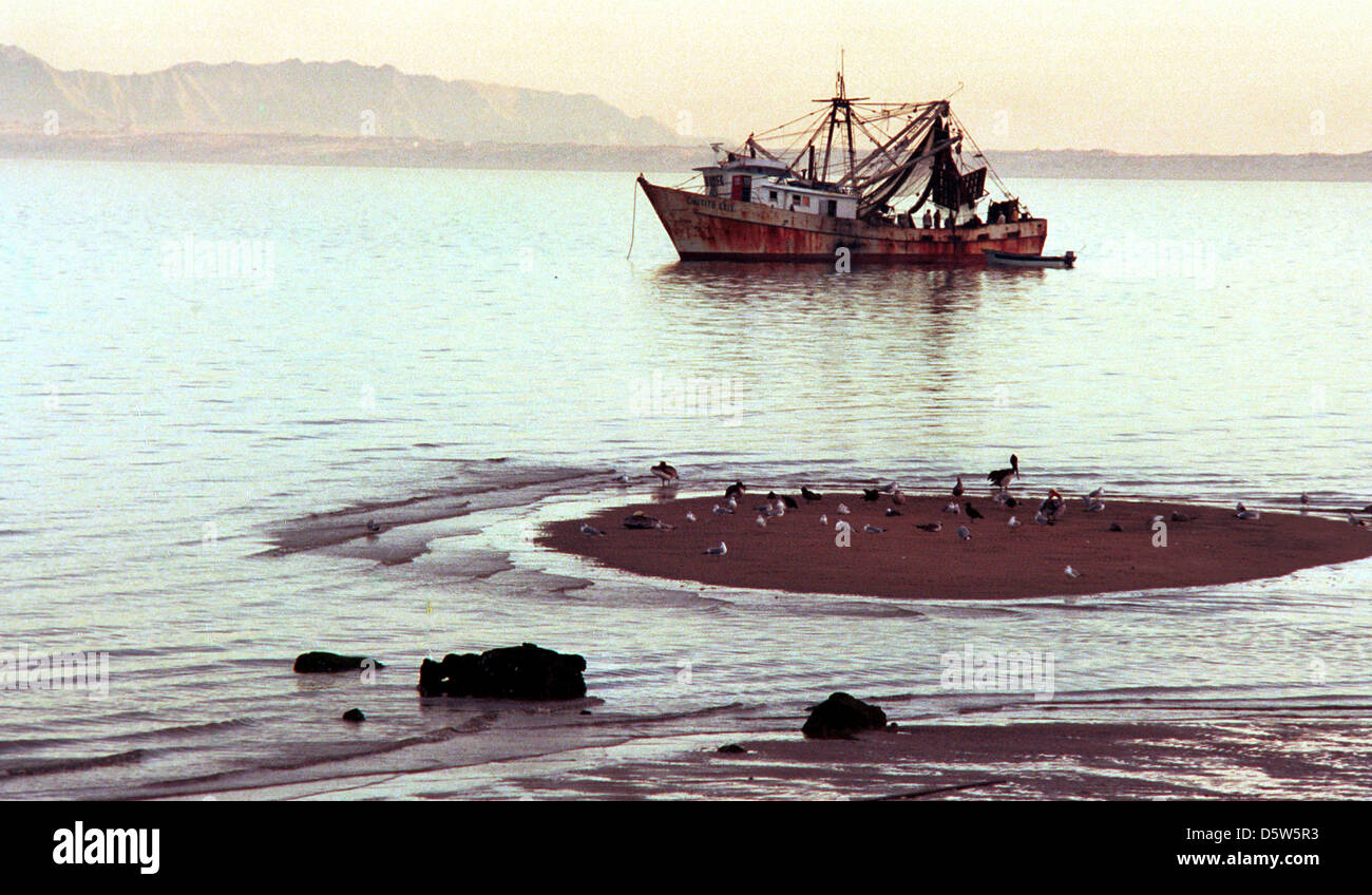 Gulf shrimp net hires stock photography and images Alamy