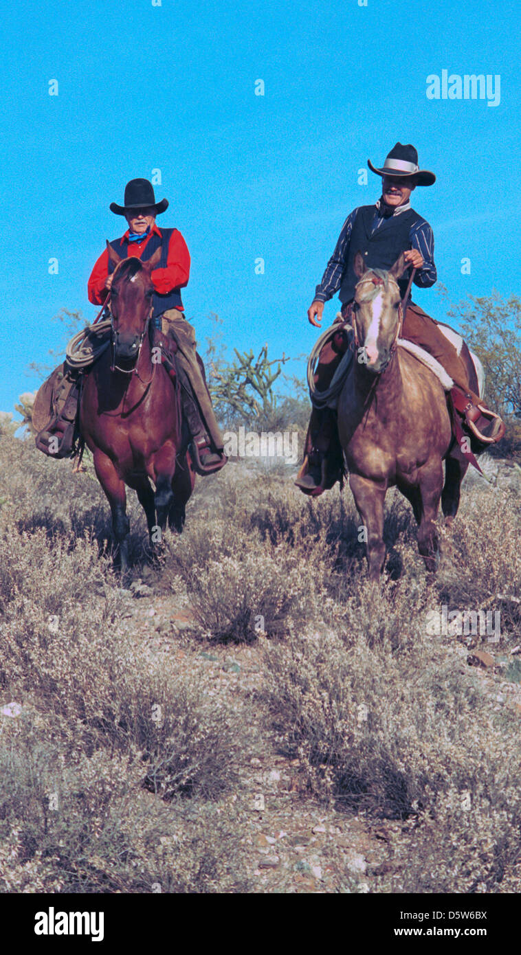Cowboys ride Tommy and Carson Thomas in Arizona desert, desert landscape, sage brush, wranglers, Stock Photo