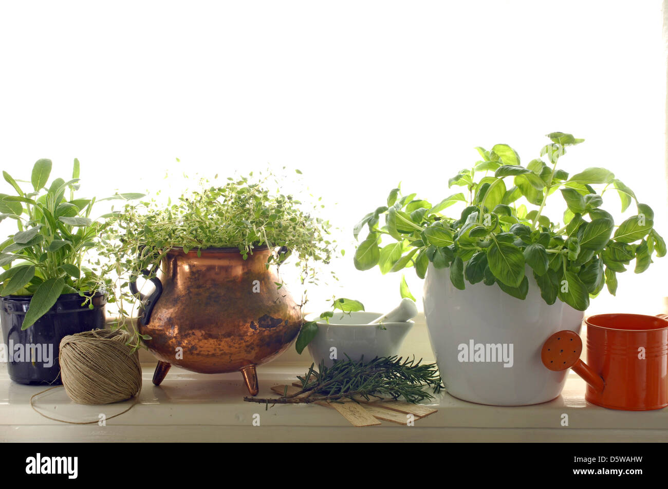 Various herbs in pots Stock Photo