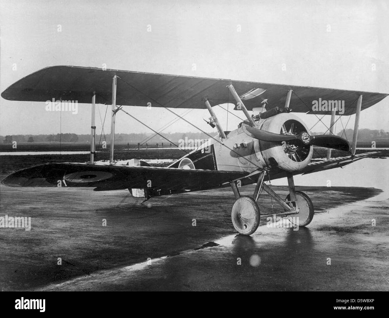 Sopwith the camel Black and White Stock Photos & Images Alamy