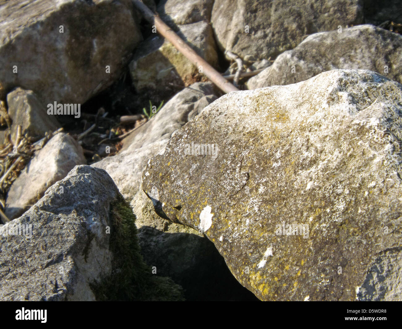 Rocks at Foremark Reservoir Stock Photo - Alamy