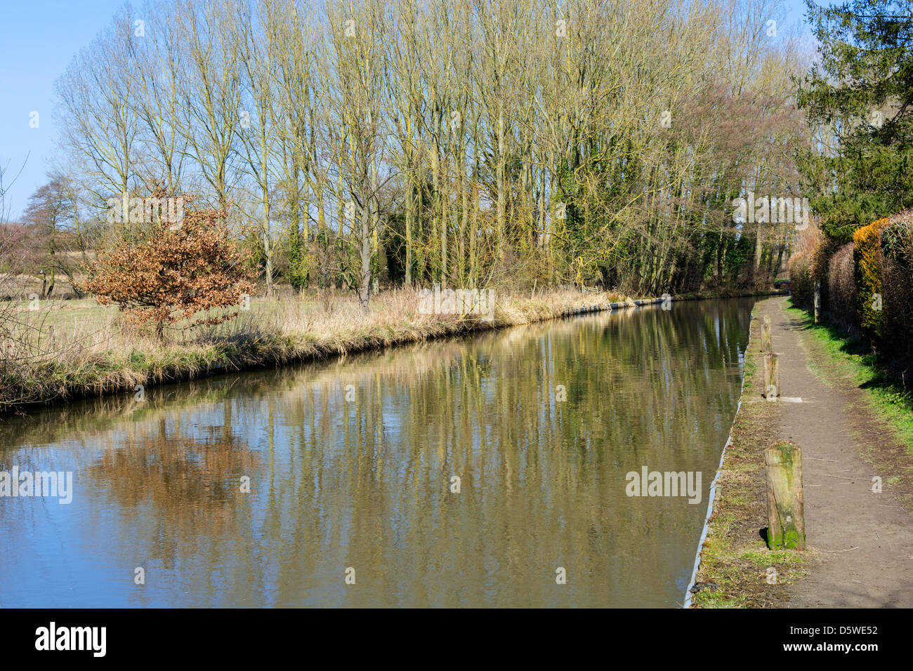 The banks of a river, with bushes and trees Stock Photo - Alamy