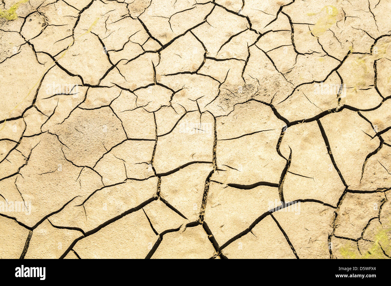 Dried and cracked mud during a drought. Stock Photo