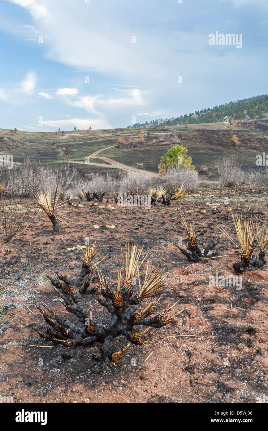 In burnt ash road hires stock photography and images Alamy