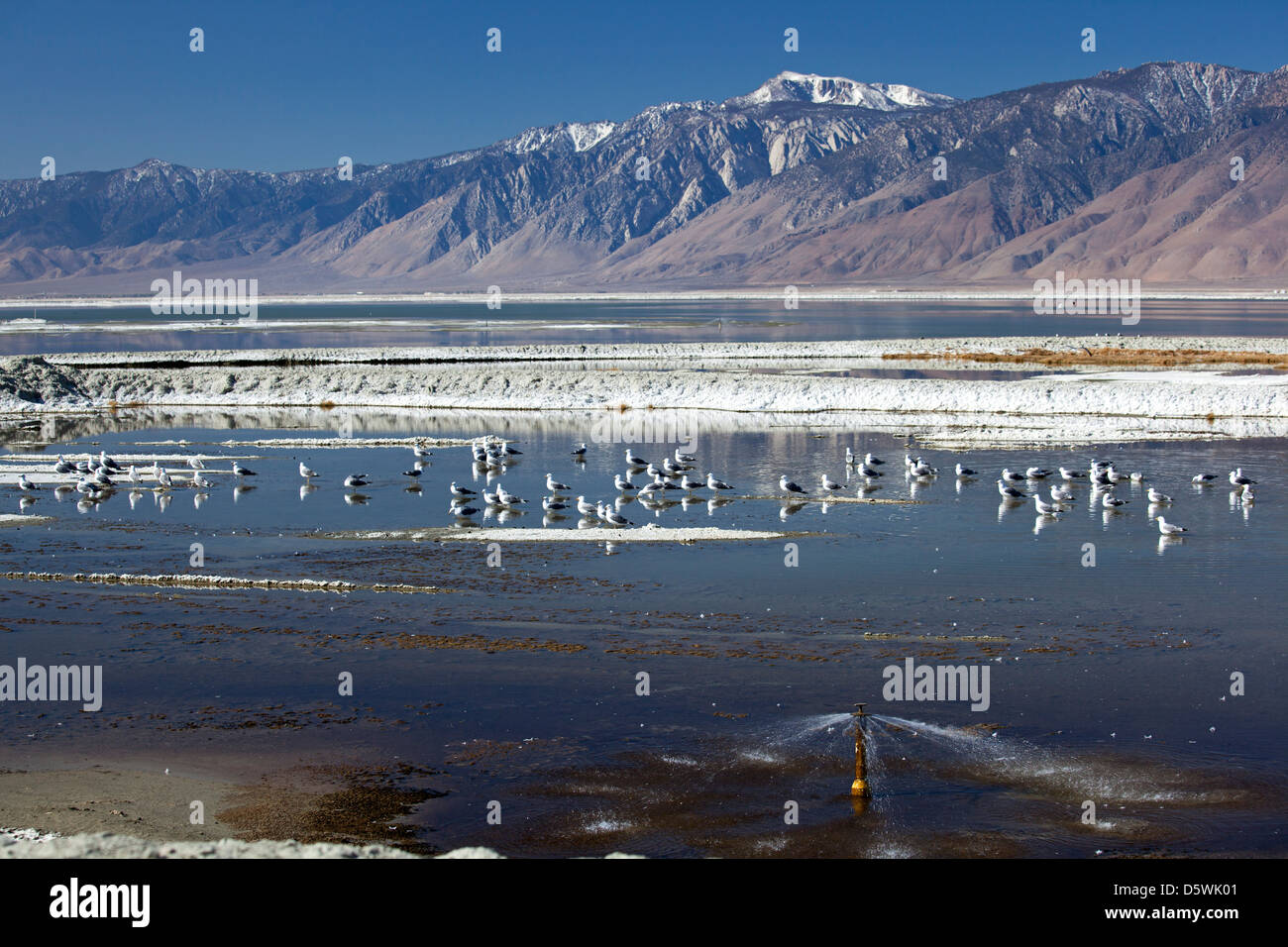 Los Angeles Returns Water to Owens Lake 100 Years After Building Los