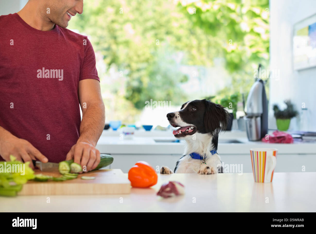 Man cooking with dog in kitchen Stock Photo