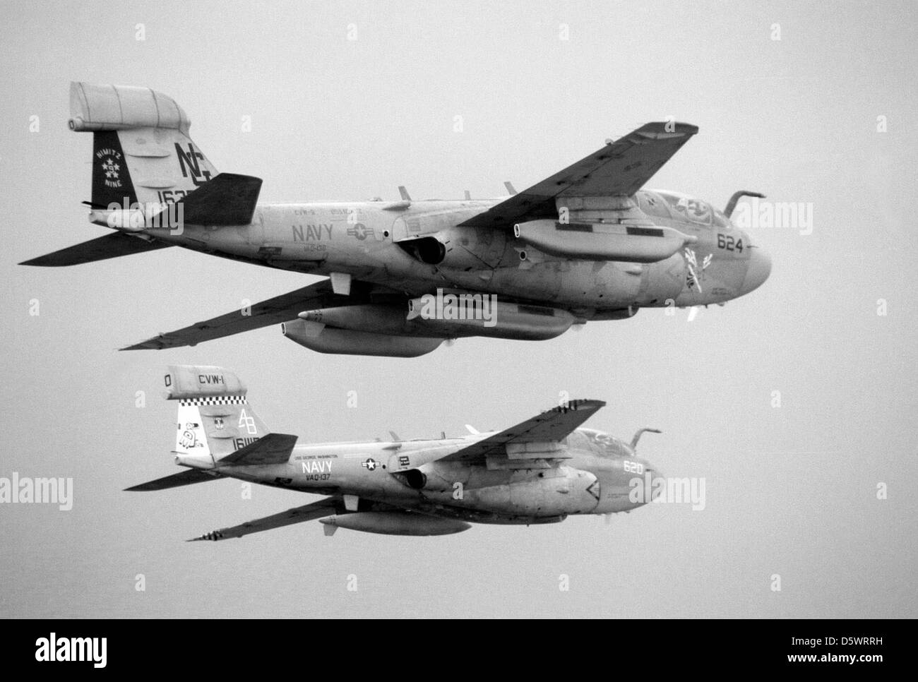 Northrop Grumman EA-6B 'Prowlers' of Electronic Attack Squadron 137 (VAQ-