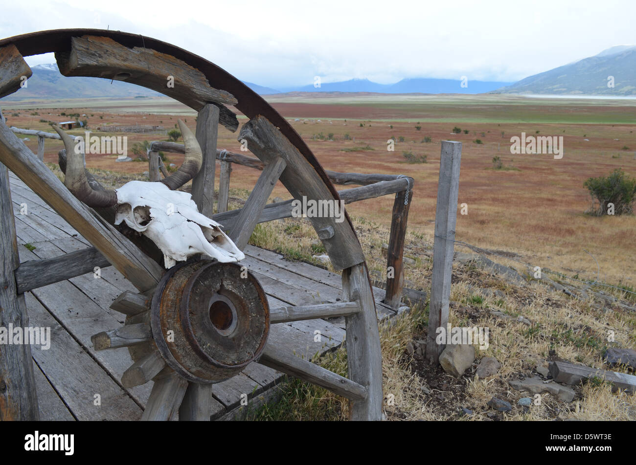 Old wagon wheel and sheep skull at ranch outpost in the Los Glaciares National Park, Patagonia, Argentina Stock Photo