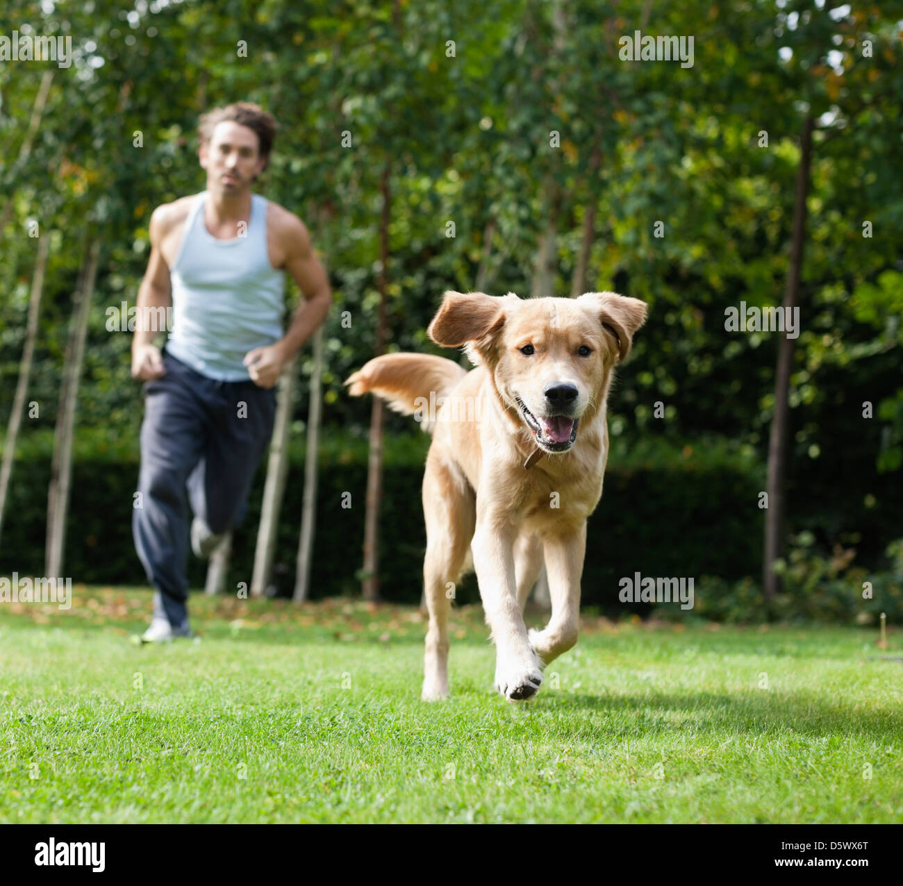 Man running with dog in park Stock Photo