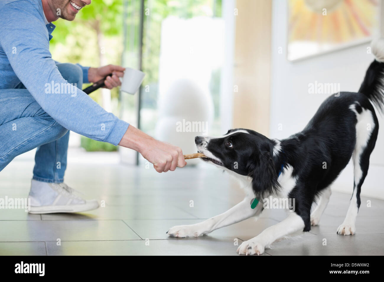 Man playing with dog in kitchen Stock Photo