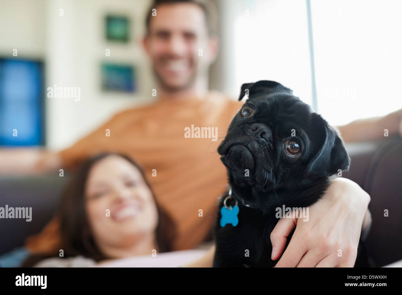 Couple relaxing with dog on sofa Stock Photo