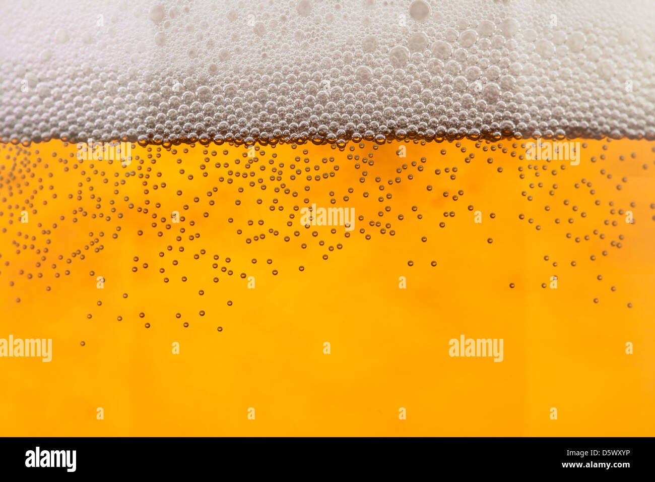 beer bubbles closeup full frame closeup Stock Photo Alamy