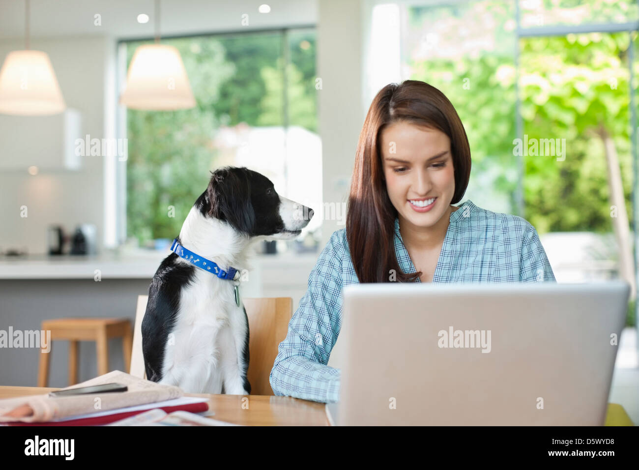 Dog watching woman use laptop Stock Photo