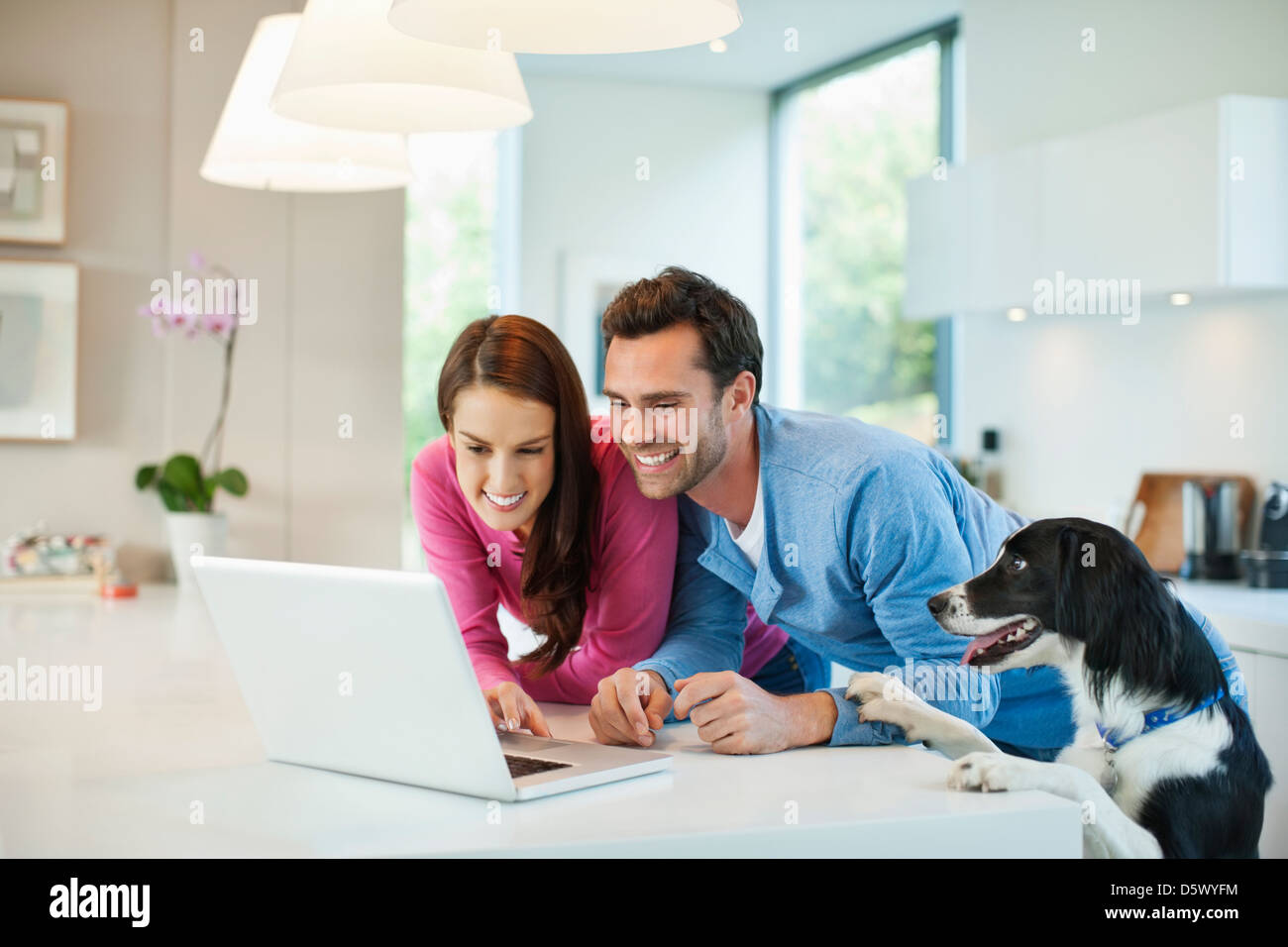 Couple using laptop with dog at table Stock Photo