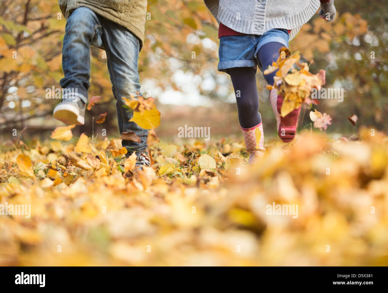 Children walking in autumn leaves Stock Photo Alamy