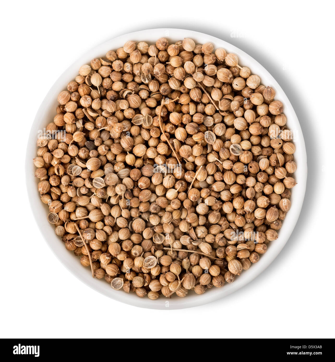 Cilantro in plate isolated on a white background Stock Photo Alamy