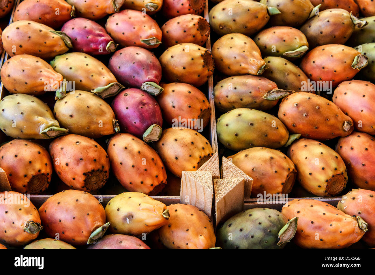 Cactus Fruit for sale at Ballaro Market in Palermo, Sicily Stock Photo