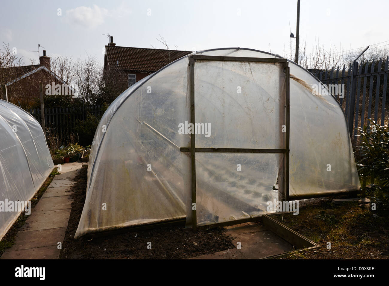 large community polytunnel for growing fruit and vegetables moira