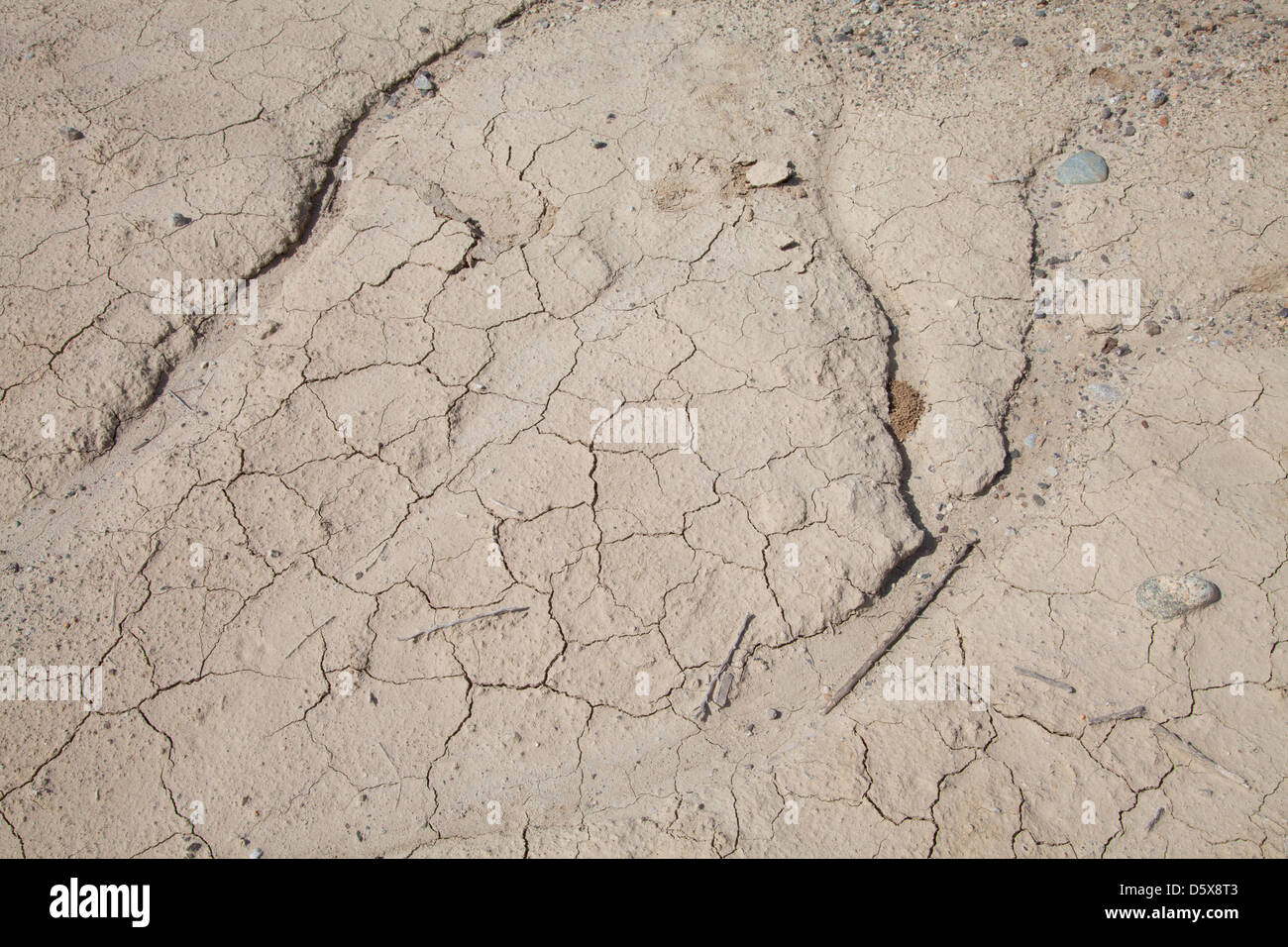 Dry cracked earth, San Joaquin Valley, Kern County, California , USA Stock Photo