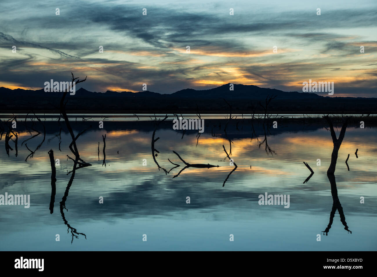 Desert Wetlands Sunset Stock Photo Alamy