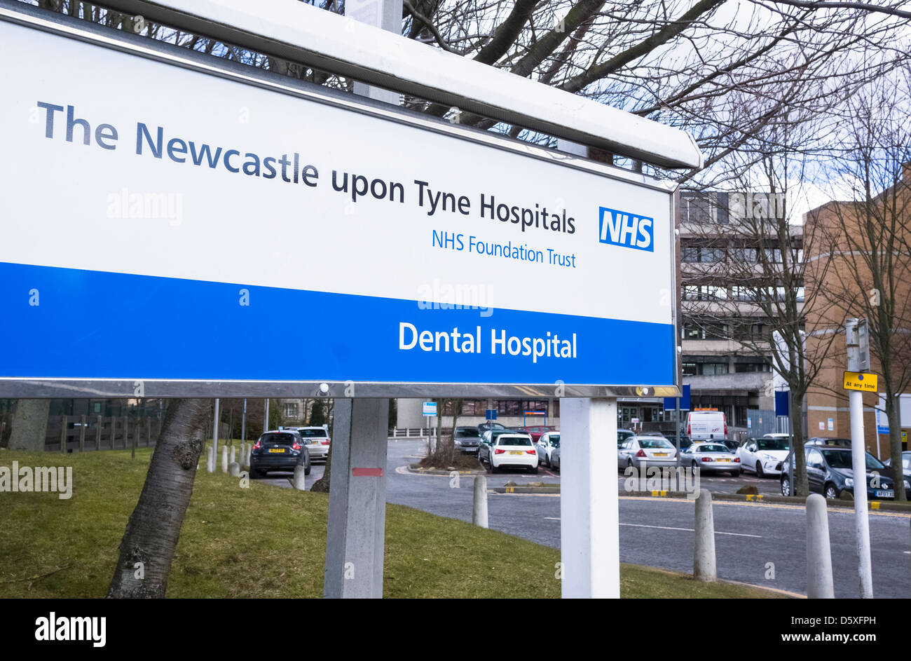 Newcastle Dental hospital entrance sign Stock Photo 55287529 Alamy