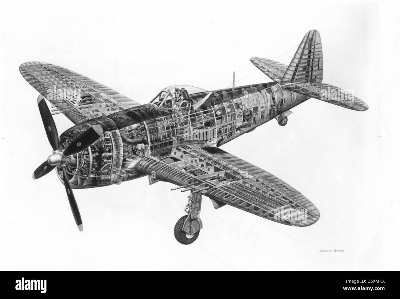 Republic P-47D 'Thunderbolt' no skin drawing. The next group of photos will be more than you wished to know about how aircraft are made, except for you A&P guys. Just so you know that it wasn't Santa's little elves that did the hard work. Stock Photo