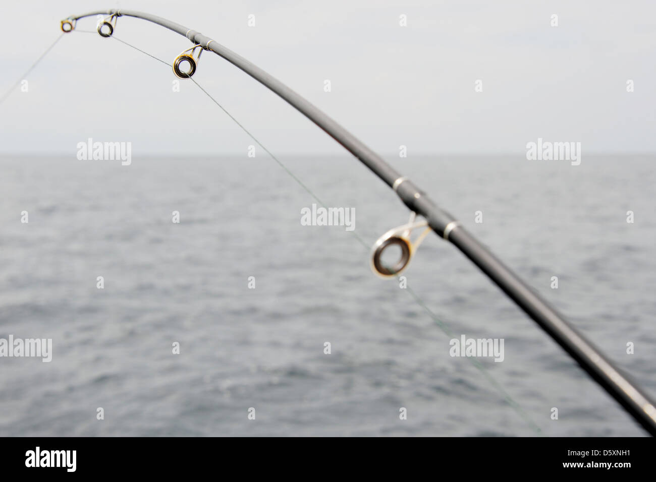 beginner fly reels Beginner Fly Reels for Sale