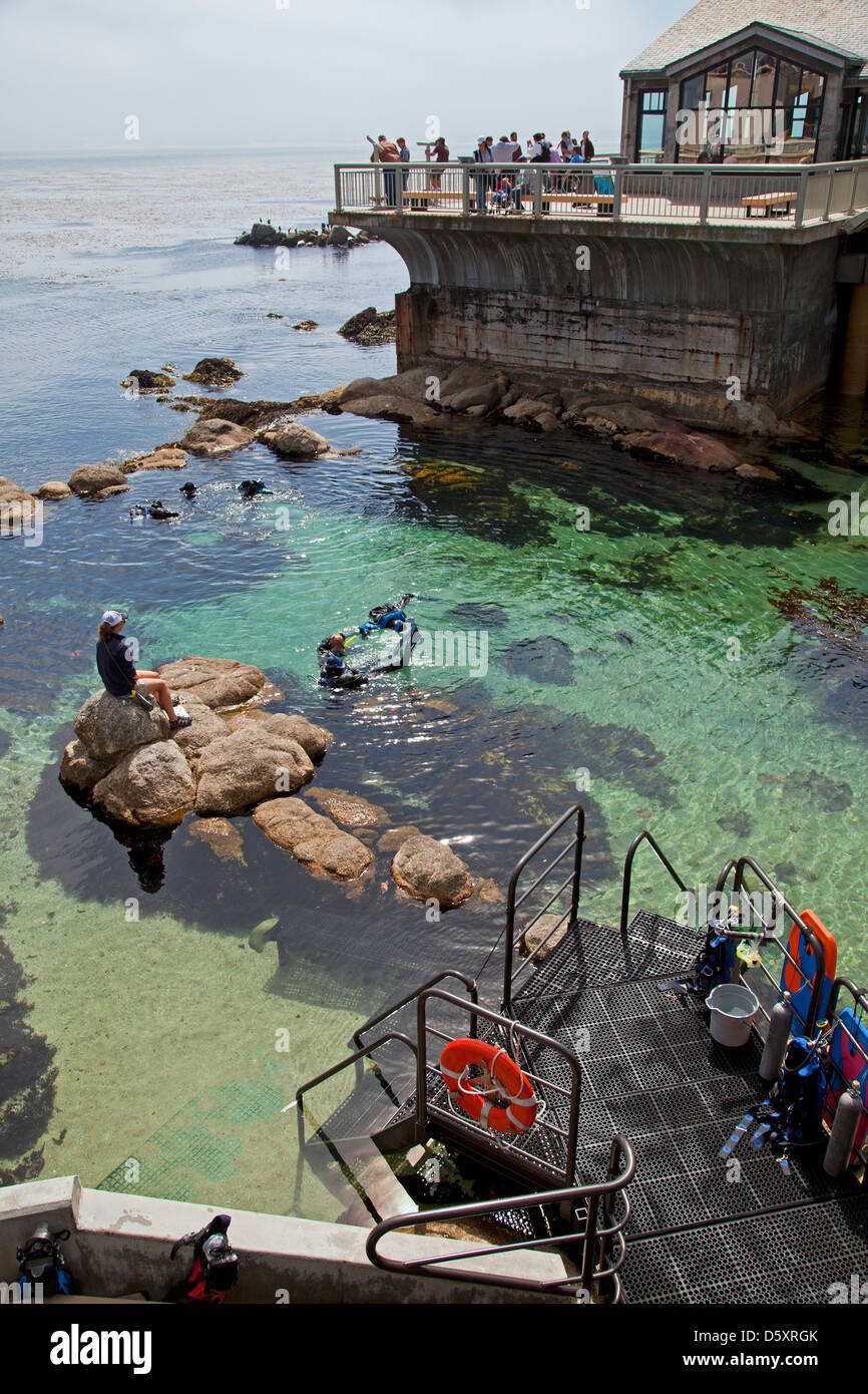 Monterey Bay Aquarium, Monterey, California, USA Stock Photo Alamy